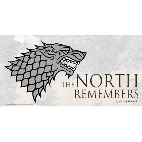 Game Of Thrones Glass Poster The North Remembers 50 x 25 cm 