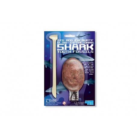 Deterre-ta-shark-tooth, plaster egg with 2 phosphorescent shark teeth 