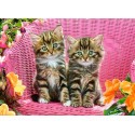 Puzzle Kittens on Garden Chair Jigsaw puzzle