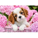 Puzzle Pup in Pink Flowers Jigsaw puzzle
