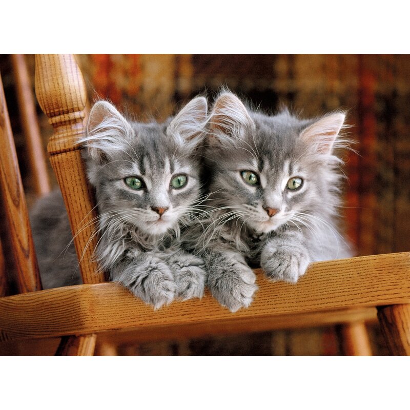 Puzzle Kittens Jigsaw puzzle