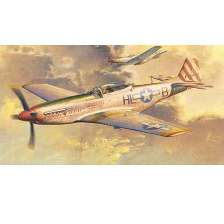 P-51 D MUSTANG Model kit