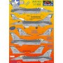 Decals Lockheed Martin F-16C Aviano Part 2. 89-2016 16 Air Force 88-550 555FS Triple Nickel Flagship 2 versions pre 1999 89-2035