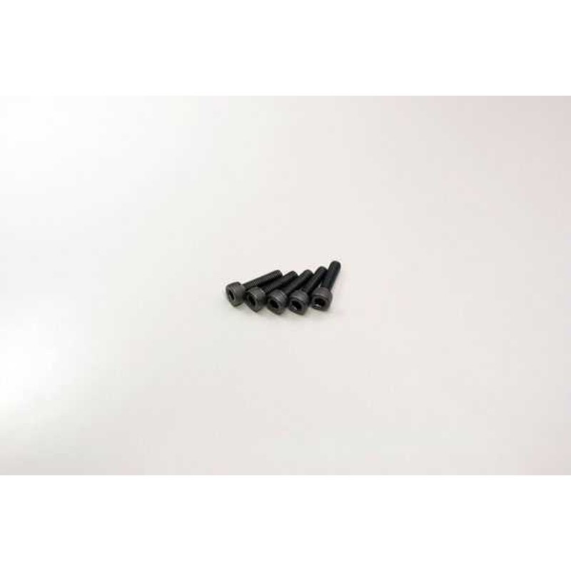 Metallic cap screws 3x15mm (5) 