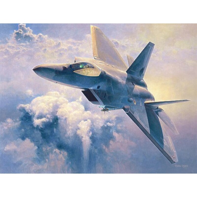Lockheed Martin F-22 Raptor Model kit