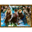 1000 p puzzle - Harry Potter and the wizards 