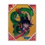Dragonball Z poster in glass Kid Goku & Shenron 30 x 40 cm 