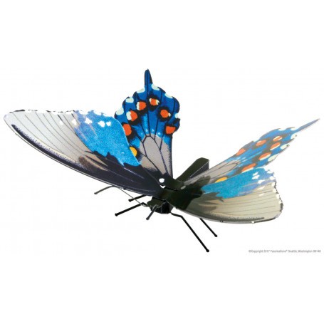 Butterfly Pipevine Swallowtail Metal model kit