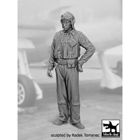 US NAVY pilot 1940-45 N & deg; 2figures 