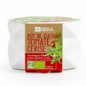 Origami pot - GM Organic cherry tomato 
