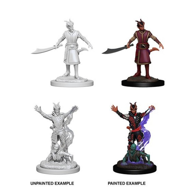 Dungeons and Dragons: Nolzur's Marvelous Miniatures - Male Tiefling Warlock Miniature for role-playing game