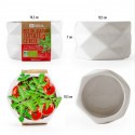 Origami pot - GM Organic cherry tomato