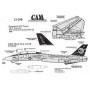 Decals Grumman F-14D (1) 164348 NK/100 CAG VF-31 Tomcatters USS Abraham Lincoln. 1998 Black fin with five colour CAG bands 
