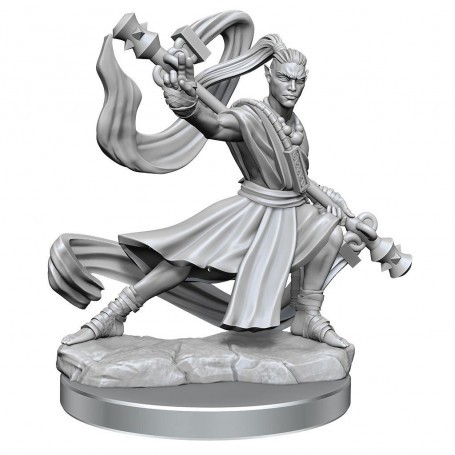 Dungeons & Dragons Frameworks miniature Model Elf Monk Male Figurines for role-playing game
