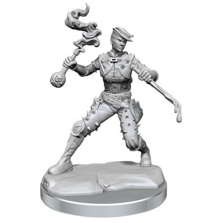 Dungeons & Dragons Frameworks miniature Model Human Rogue Female Figurines for role-playing game
