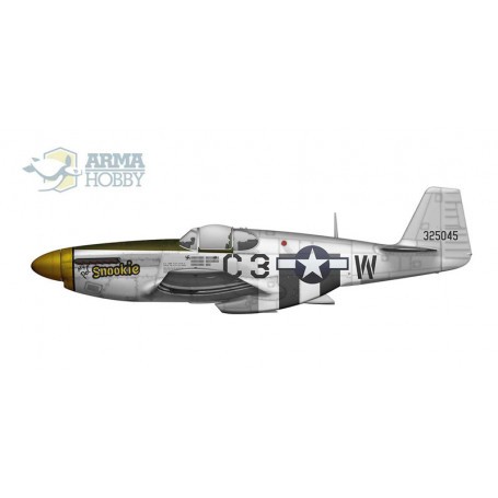 P-51 B / C Mustang Expert Set Model kit