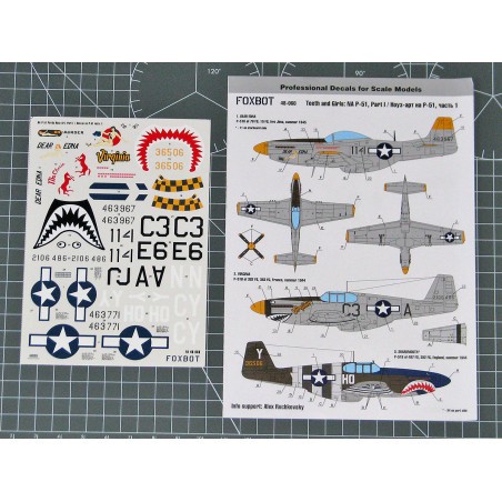 Decals North-American P-51 Mustang Nose art, Part 1 STENCILS NOT INCLUDED 