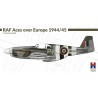 North-American Mustang III RAF Aces over Europe (ex Hasegawa) Model kit