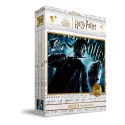 Harry Potter Puzzle 3D effect Half-Blood Prince (100 pieces) 