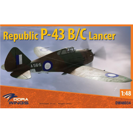 Republic P-43B/C Lancer Model kit