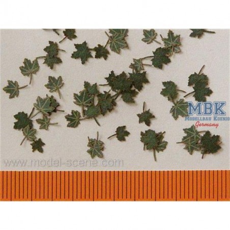 Ahorn Grün / Maple leaves green 1/35 