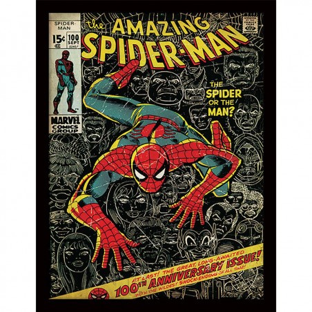 THE AMAZING SPIDER-MAN100 COLLECT.PRINT 