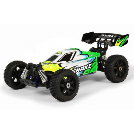 Pirate Snake RC Buggy
