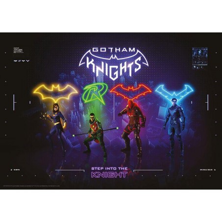 DC Comics lithograph Gotham Knights Limited Edition 42 x 30 cm 