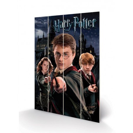 HARRY POTTER - Harry Ron & Hermione - Print on wood 40x59cm 