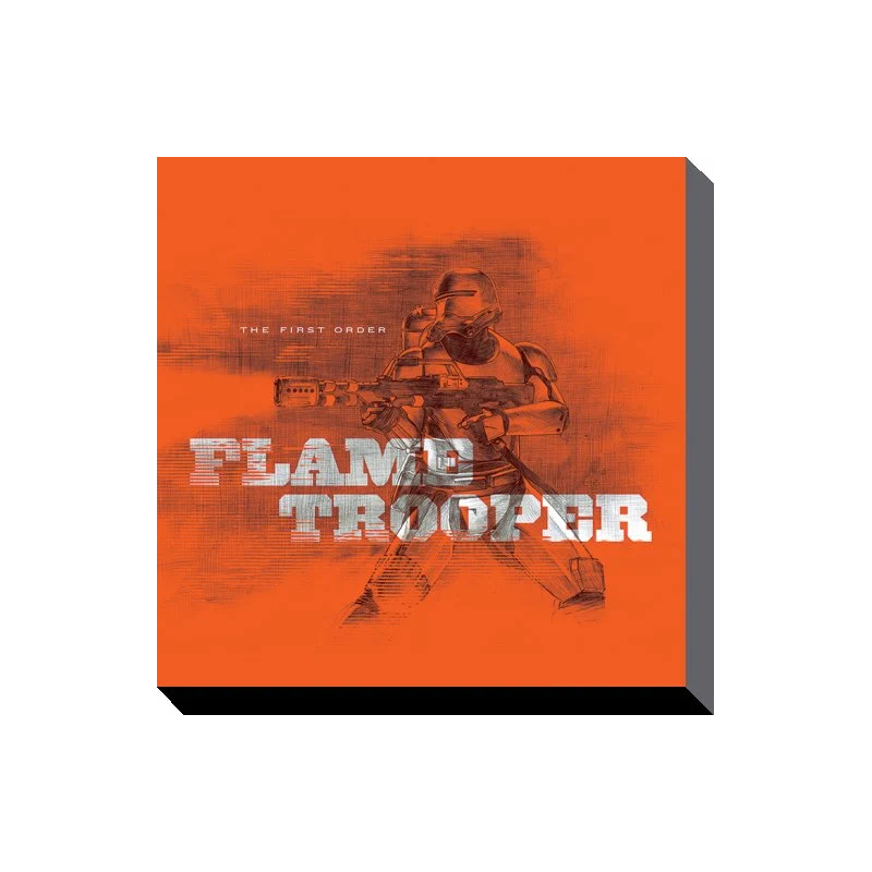 STAR WARS - Canvas 40X40 '38mm' - Episode VII - Flametrooper Orange 