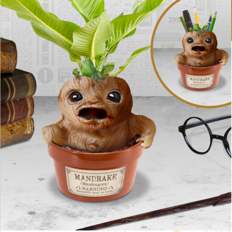HARRY POTTER - Mandrake - Plant and Pen Pot 