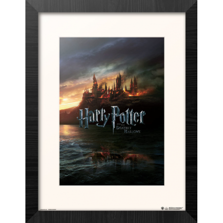 HARRY POTTER - And the Deathly Hallows - Collector Print '30x40cm' 