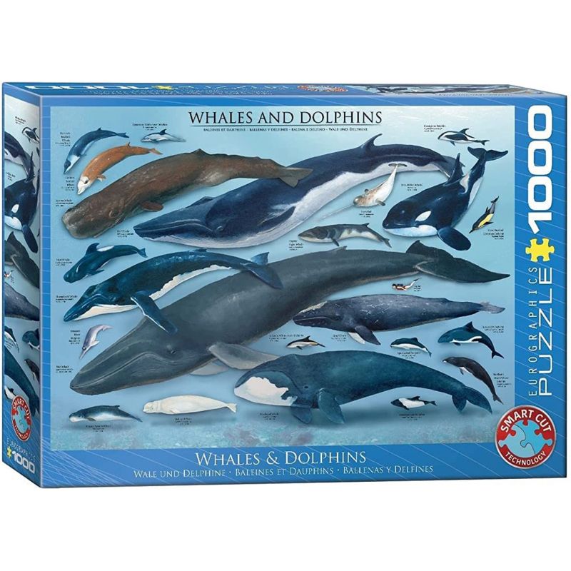 PUZZLE 1000P WHALES AND DOLPHINS EUROGRAPHICS 