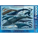 PUZZLE 1000P WHALES AND DOLPHINS EUROGRAPHICS Eurographics