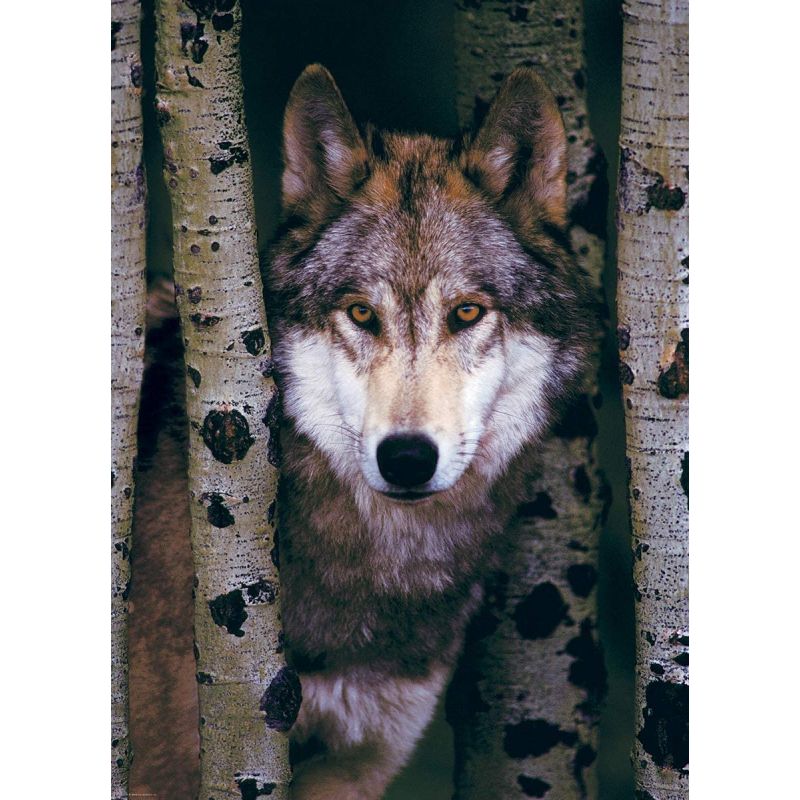 PUZZLE 1000P EUROGRAPHICS GRAY WOLVES Jigsaw puzzle