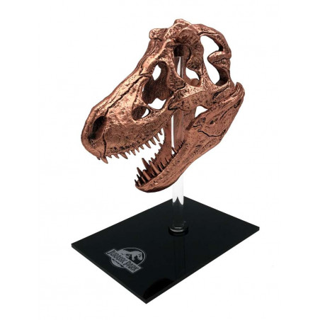 Jurassic Park - T-rex Skull Scaled Prop Replica 