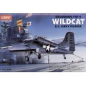 Grumman F4F-4 Wildcat. Airplane model kit