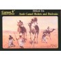 Biblical Era Arab Camels x 2 with riders and Bedouins Caesar Miniatures
