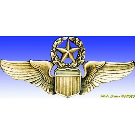 USAF Command Pilot wings 