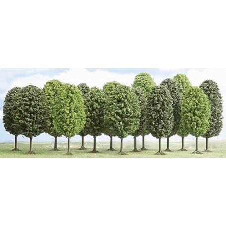 Lot of 12 deciduous trees 