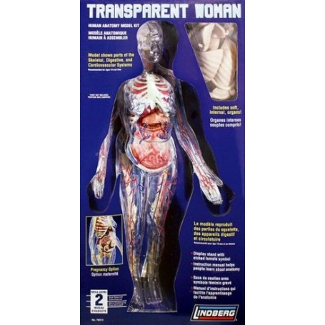 Transparent Woman includes soft, internal organs (Pregnancy option) 