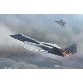 Northrop YF -23 Prototype Model kit